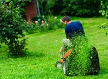 Kwikfynd Lawn Mowing
bacchusmarsh