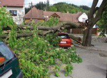 Kwikfynd Tree Cutting Services
bacchusmarsh